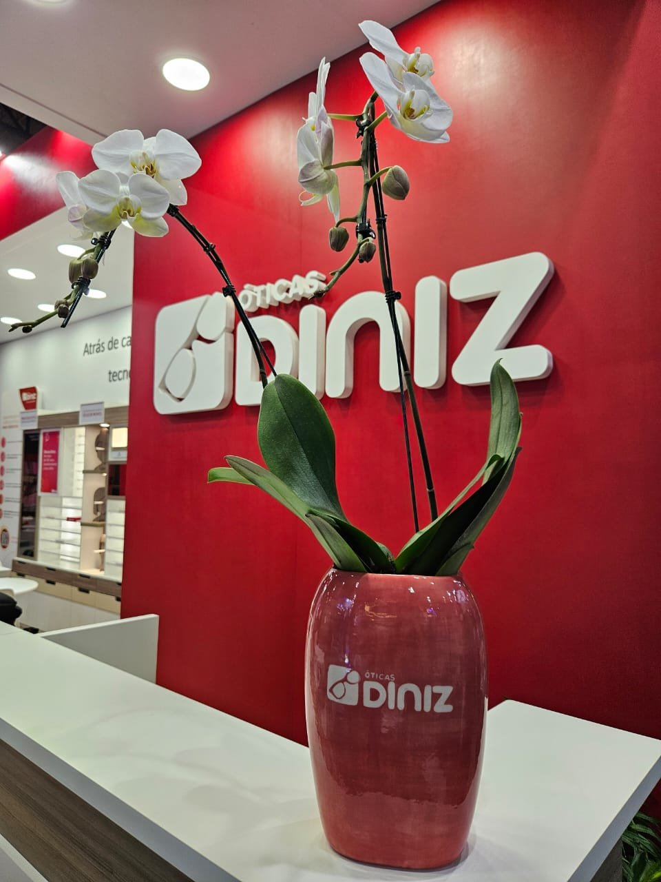 ABF - Óticas Diniz